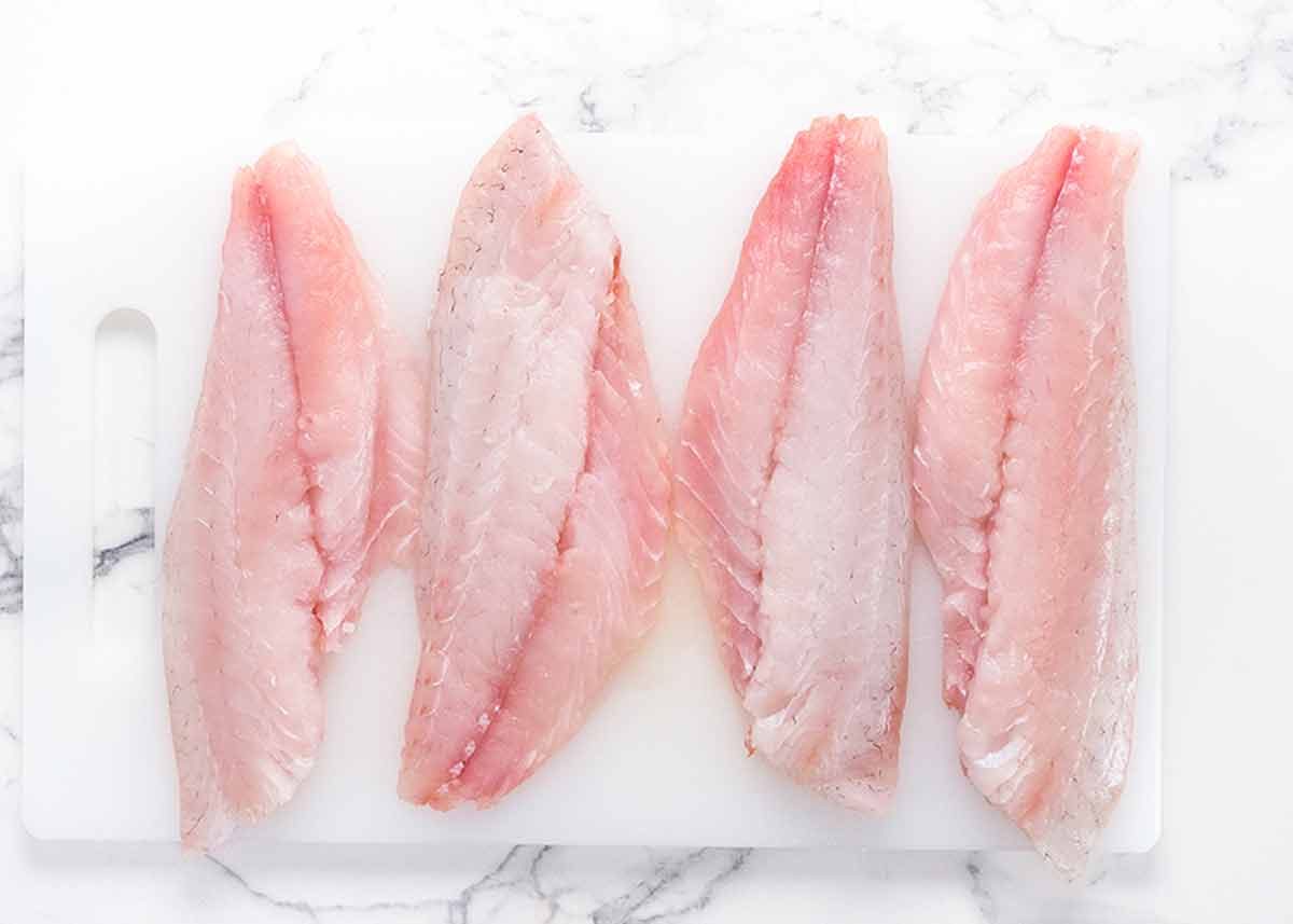 Brutes vivaneau nets
