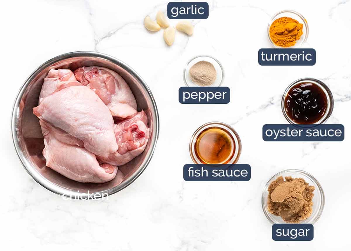 Ingredientes de pollo con cúrcuma tailandesa