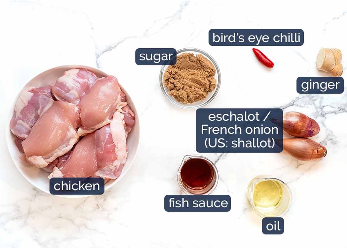 Ingredientes de pollo de caramelo vietnamita